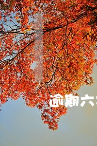 逾期六次是一年还是二年 逾期六次是一年还是二年