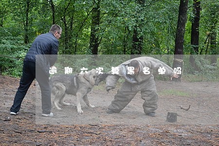 逾期六次算黑名单吗 逾期六次算黑名单吗