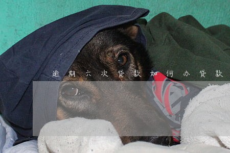 逾期六次贷款如何办贷款 逾期六次贷款如何办贷款
