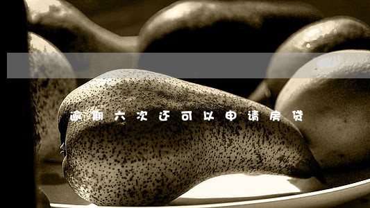 逾期六次还可以申请房贷 逾期六次还可以申请房贷