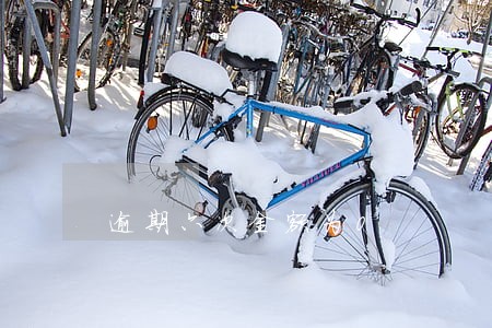 逾期六次金额为0