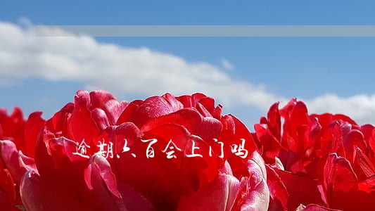 逾期六百会上门吗 逾期六百会上门吗
