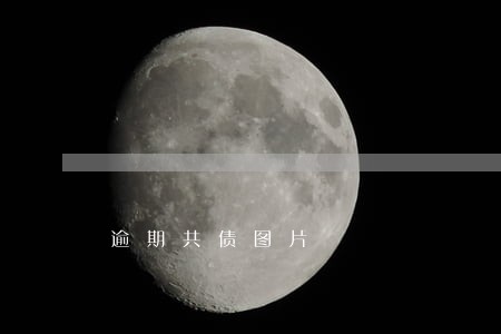逾期共债图片 逾期共债图片