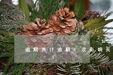 逾期共计逾期8次影响买房么 逾期共计逾期8次影响买房么