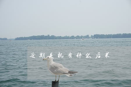 逾期关机有什么后果
