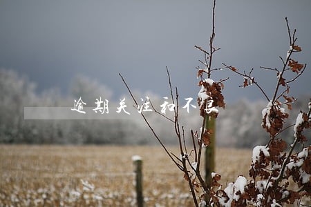逾期关注和不良 逾期关注和不良