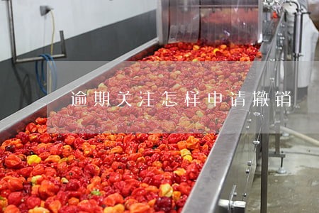 逾期关注怎样申请撤销 逾期关注怎样申请撤销