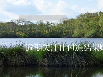 逾期关注止付冻结呆账