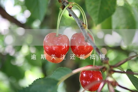 逾期关注还能抵押 逾期关注还能抵押