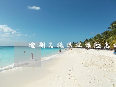 逾期关税保证保险怎么办 逾期关税保证保险怎么办