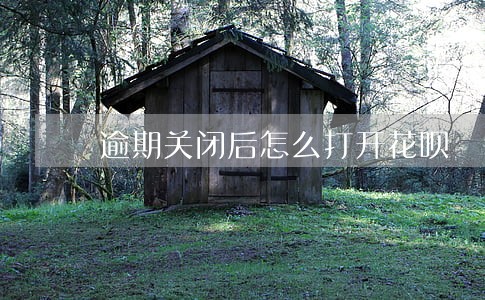 逾期关闭后怎么打开花呗 逾期关闭后怎么打开花呗