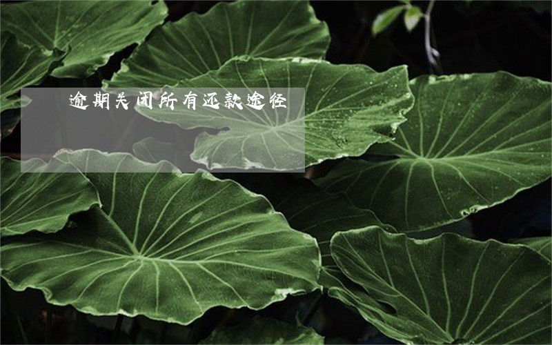 逾期关闭所有还款途径 逾期关闭所有还款途径
