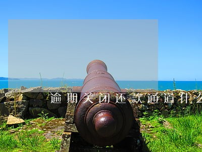 逾期关闭还款通道什么意思