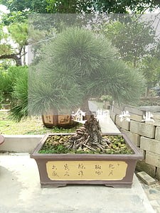 逾期兴业银行怎么处理 逾期兴业银行怎么处理