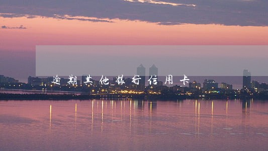 逾期其他银行信用卡