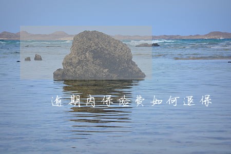 逾期内保险费如何退保 逾期内保险费如何退保