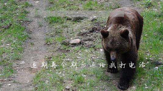逾期再分期后还给我打电话 逾期再分期后还给我打电话