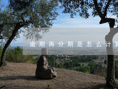 逾期再分期是怎么计算 逾期再分期是怎么计算
