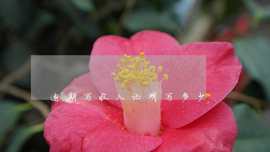 逾期写收入证明写多少 逾期写收入证明写多少