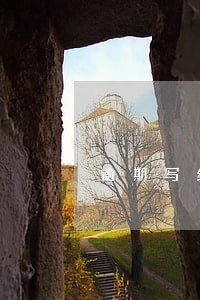逾期写给银行的 逾期写给银行的