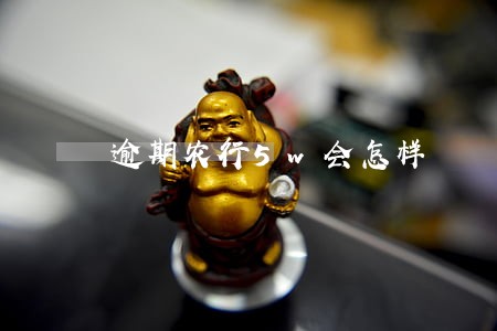 逾期农行5w会怎样 逾期农行5w会怎样
