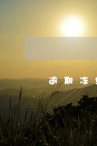 逾期冻结上征信