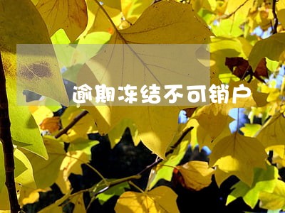 逾期冻结不可销户 逾期冻结不可销户