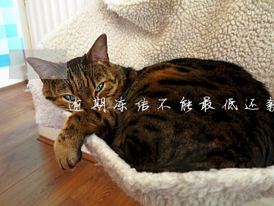 逾期冻结不能最低还款