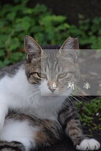 逾期冻结个人资产怎么办 逾期冻结个人资产怎么办