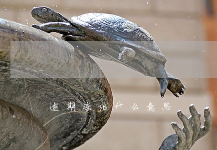 逾期冻结什么意思 逾期冻结什么意思