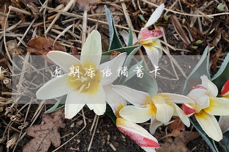逾期冻结储蓄卡 逾期冻结储蓄卡