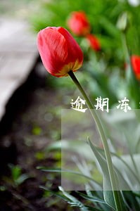 逾期冻结全部还完 逾期冻结全部还完