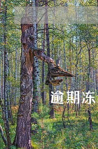 逾期冻结公账吗 逾期冻结公账吗