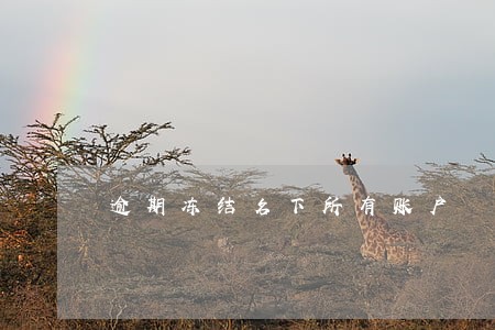 逾期冻结名下所有账户 逾期冻结名下所有账户