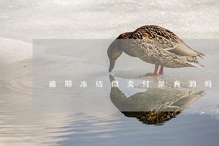 逾期冻结微支付是真的吗 逾期冻结微支付是真的吗