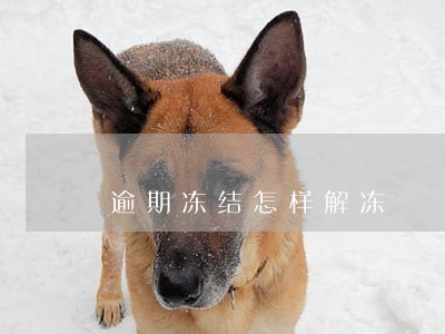 逾期冻结怎样解冻 逾期冻结怎样解冻