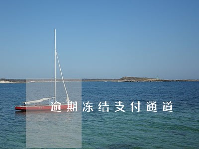 逾期冻结支付通道 逾期冻结支付通道