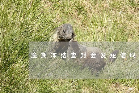 逾期冻结查封会发短信吗 逾期冻结查封会发短信吗
