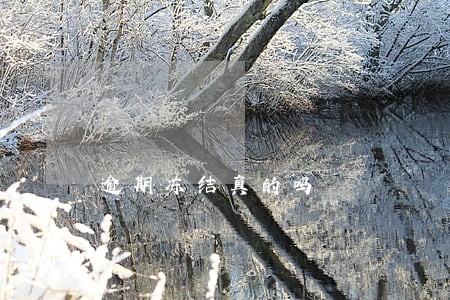 逾期冻结真的吗 逾期冻结真的吗