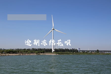 逾期冻结花呗 逾期冻结花呗