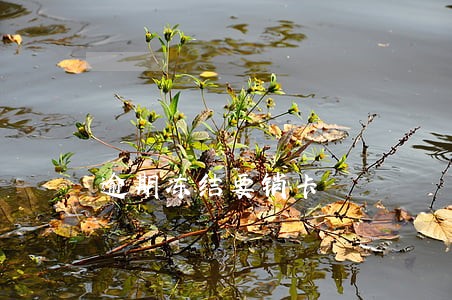 逾期冻结要销卡 逾期冻结要销卡