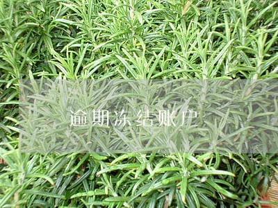 逾期冻结账户 逾期冻结账户