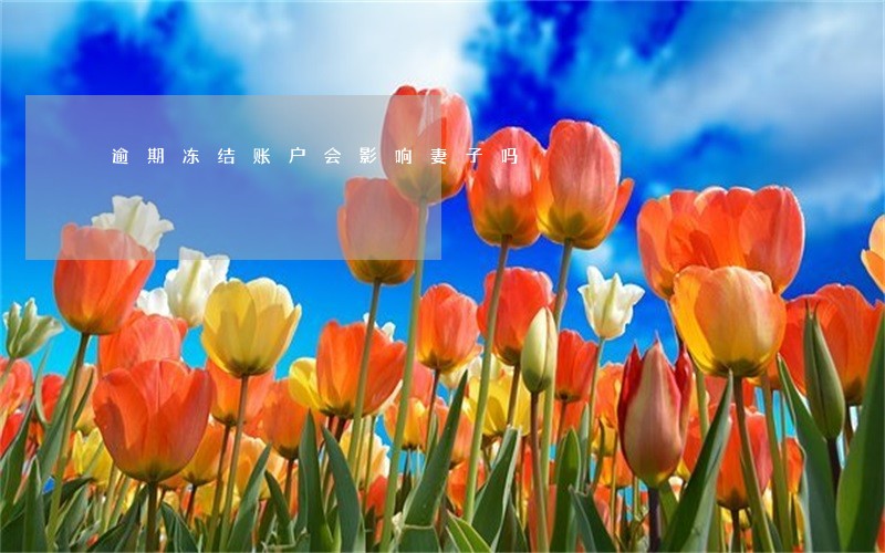 逾期冻结账户会影响妻子吗 逾期冻结账户会影响妻子吗