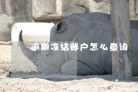 逾期冻结账户怎么查询 逾期冻结账户怎么查询