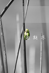 逾期冻结账户是什么意思 逾期冻结账户是什么意思