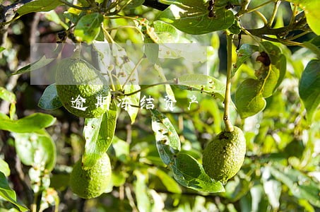 逾期冻结资产 逾期冻结资产