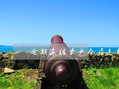 逾期冻结资产今后怎样生活 逾期冻结资产今后怎样生活