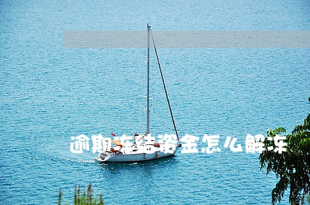 逾期冻结资金怎么解冻 逾期冻结资金怎么解冻