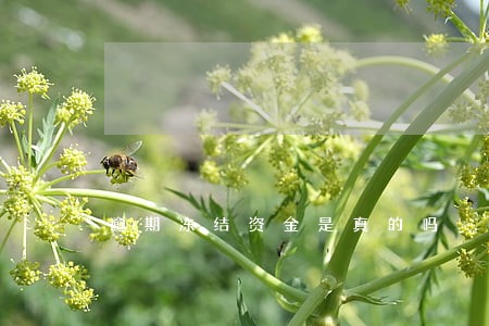逾期冻结资金是真的吗 逾期冻结资金是真的吗