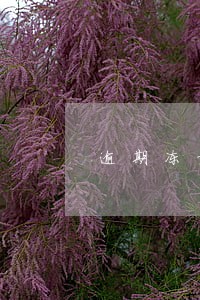 逾期冻结还款多久可以解冻 逾期冻结还款多久可以解冻